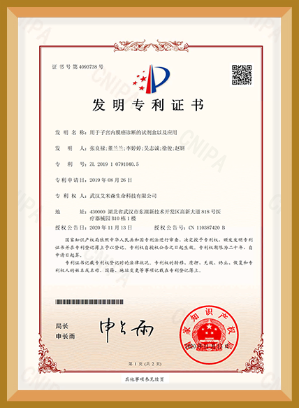 用于子宫内膜癌诊断的试剂盒以及应用