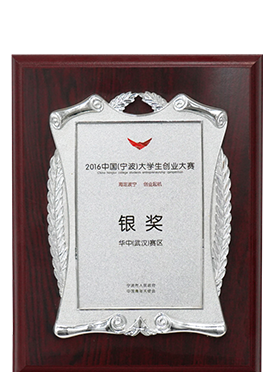 大学生创业银奖