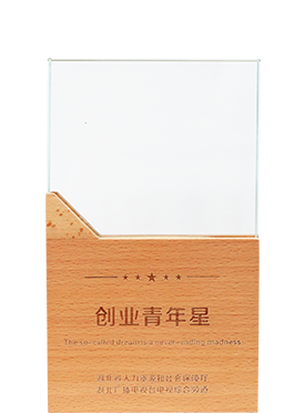 创业青年星