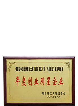 年度创业明星