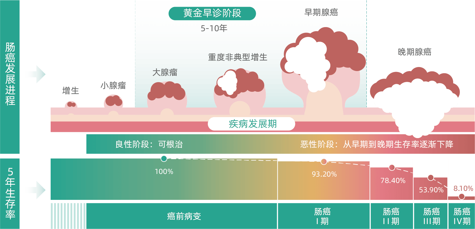 结直肠癌10年疾病发展期