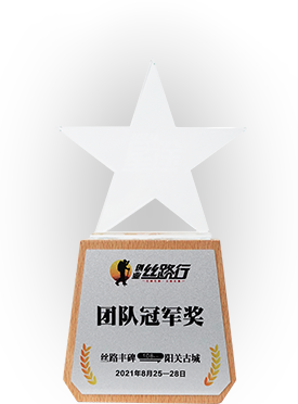创业思路行-冠军团队奖