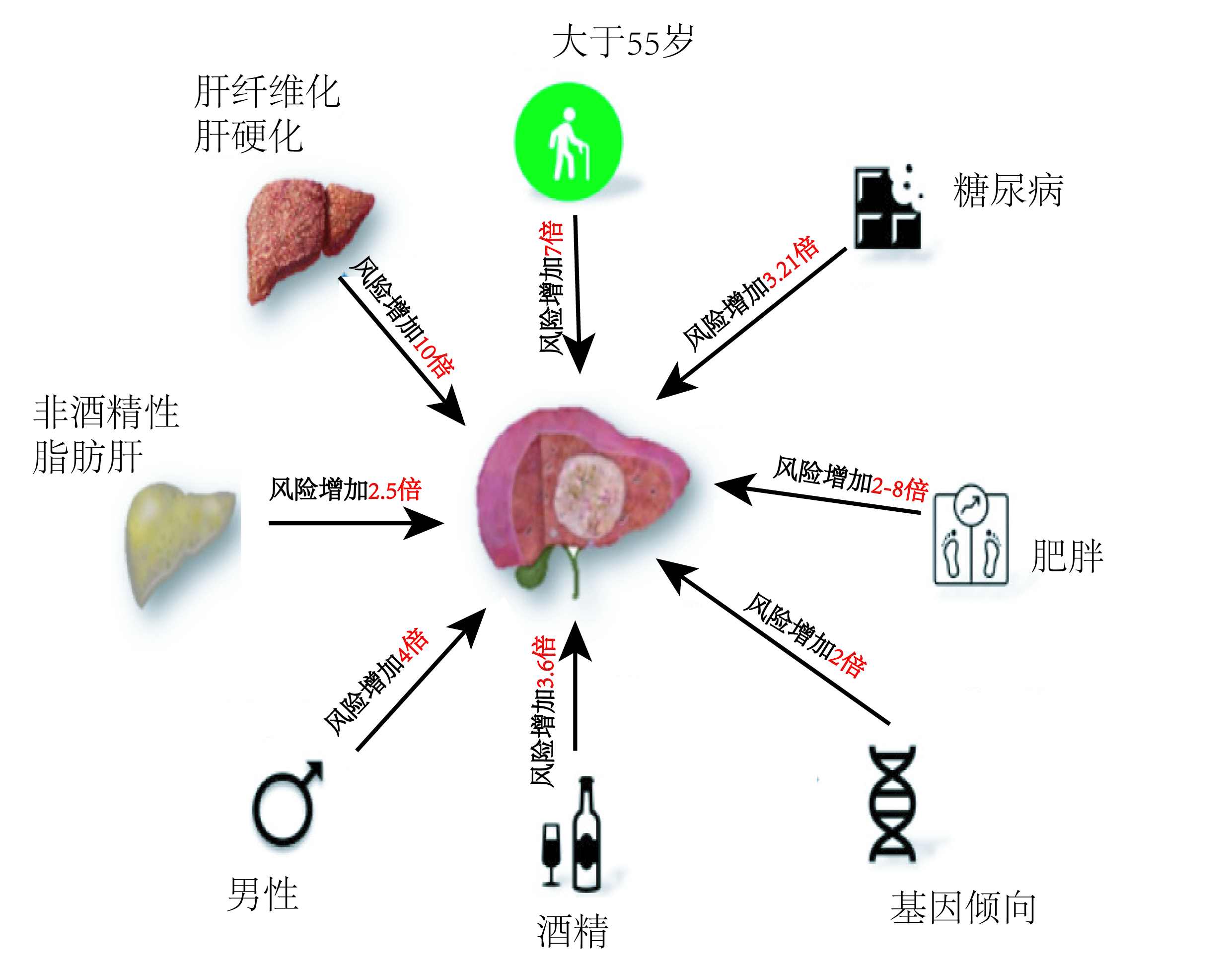 “沉默杀手”——肝癌,其实可以早期发现并干预 “沉默杀手”——肝癌,其实可以早期发现并干预