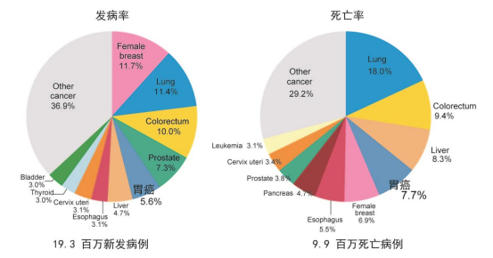 警惕!这种癌死亡率第四,早诊率仅约20% 警惕!这种癌死亡率第四,早诊率仅约20%