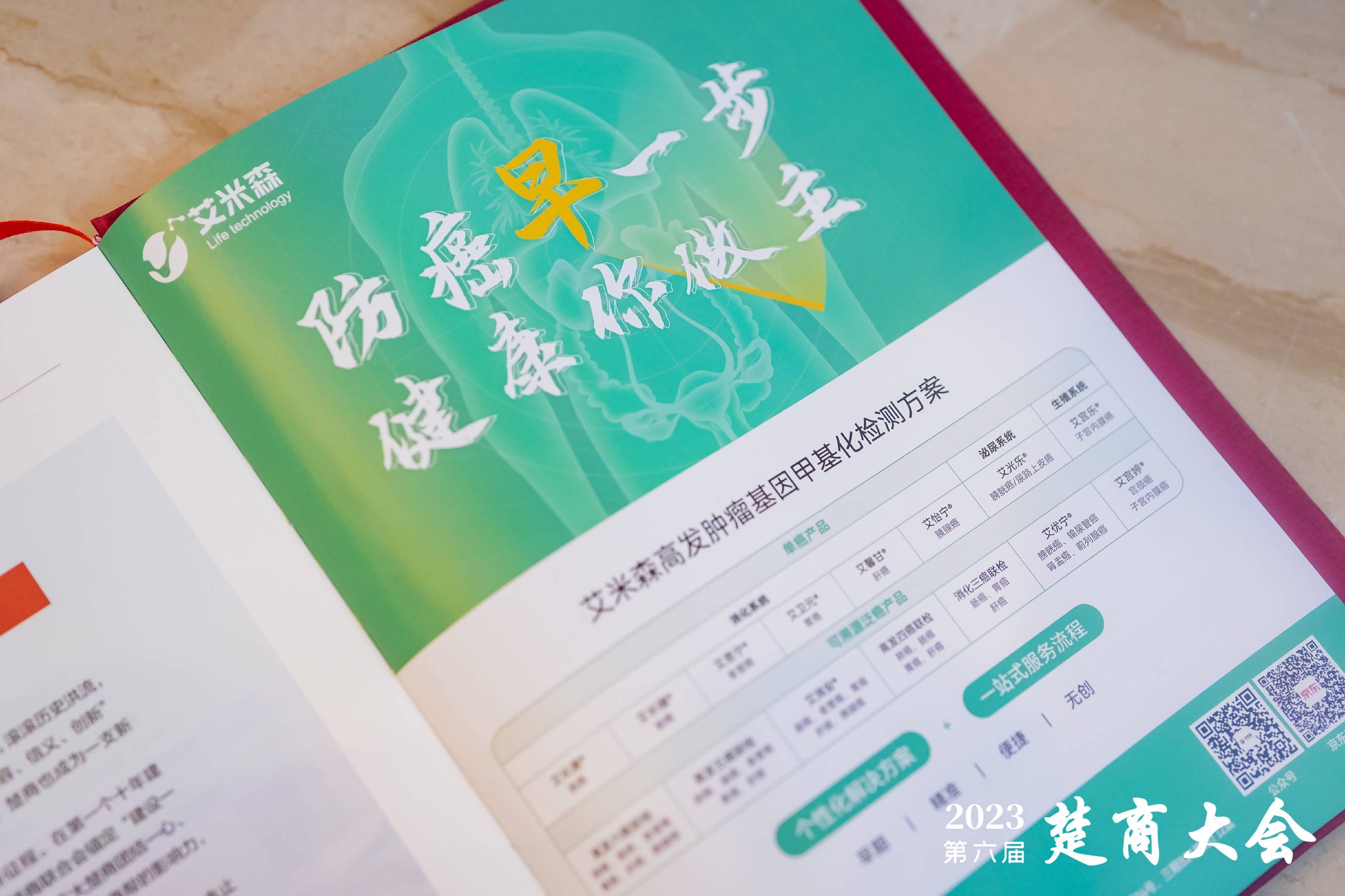 艾米森亮相第六届楚商大会 艾米森亮相第六届楚商大会