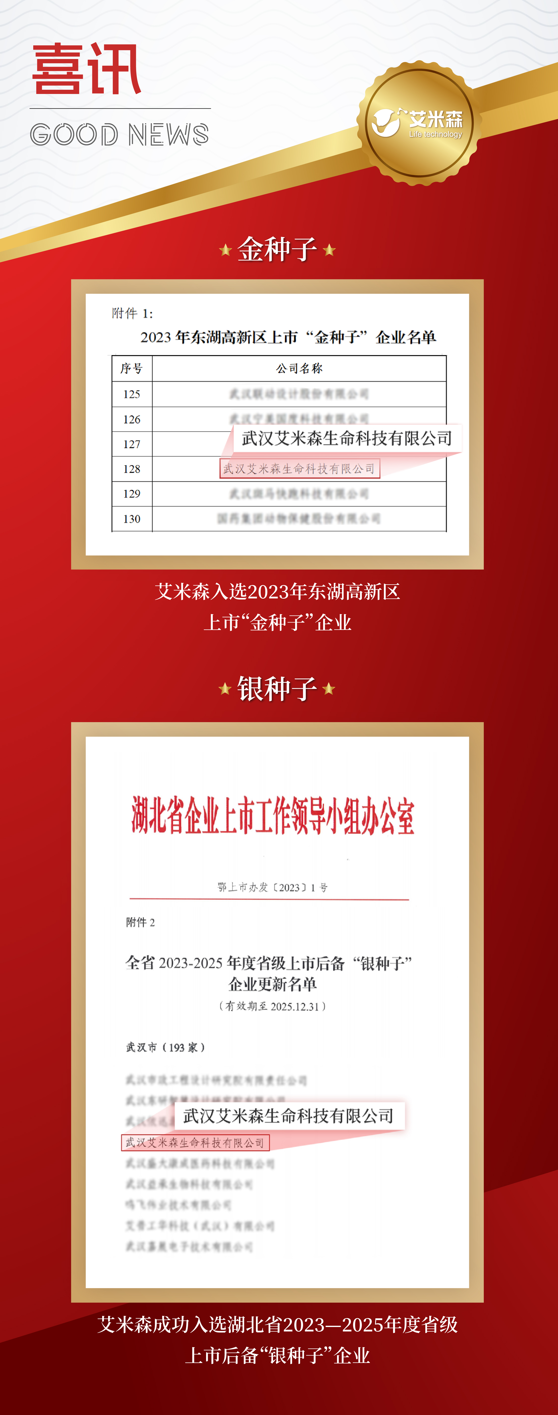 艾米森入选2023年武汉东湖高新区上市“金种子”企业 艾米森入选2023年武汉东湖高新区上市“金种子”企业