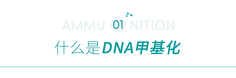 为什么DNA甲基化可以用于癌症诊断? 为什么DNA甲基化可以用于癌症诊断?