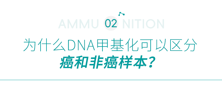 为什么DNA甲基化可以用于癌症诊断? 为什么DNA甲基化可以用于癌症诊断?